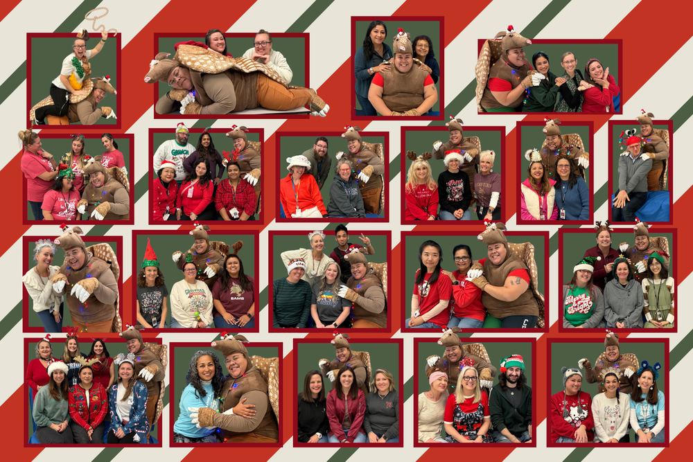 Staff Holiday Armadillo