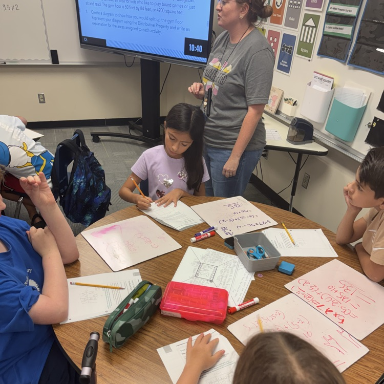 5th grade TAG Math