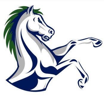 McNeil Maverick Mascot
