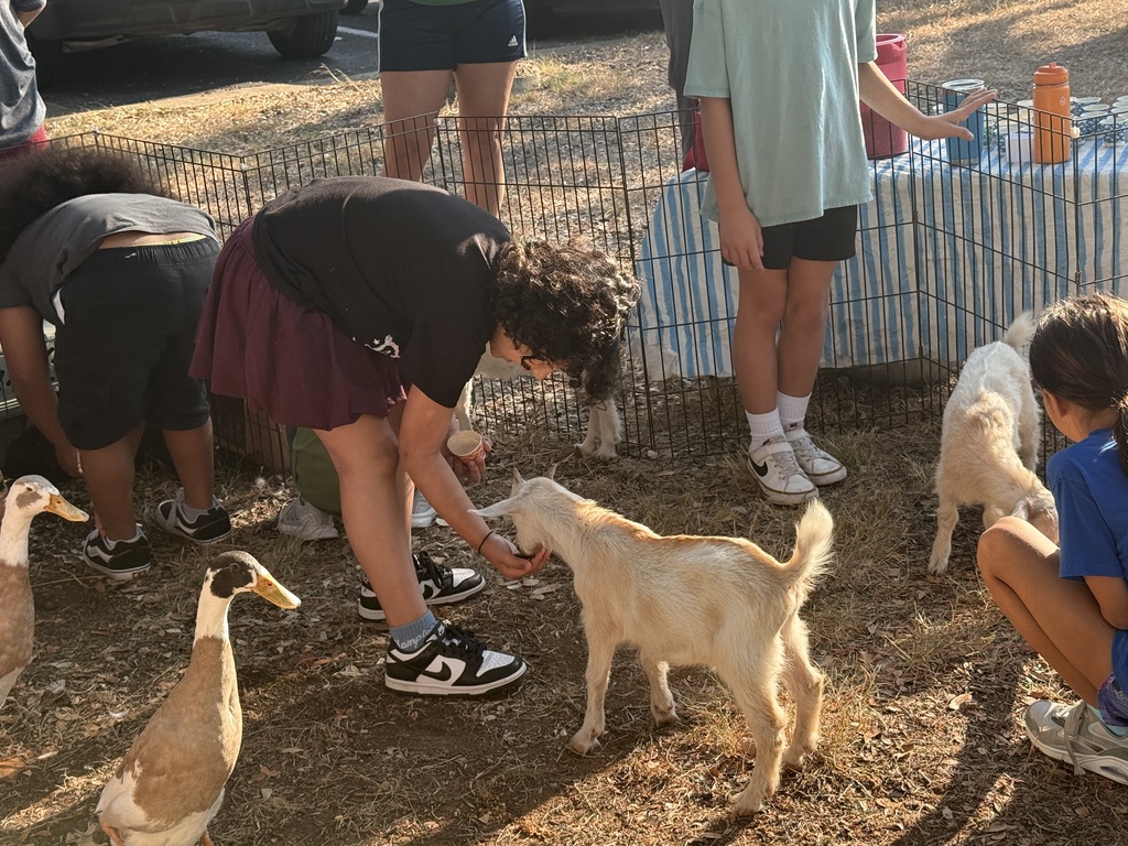 student feeding a baby goat