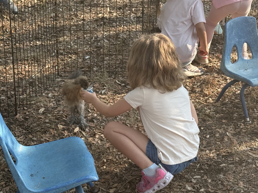 student feeding chicken