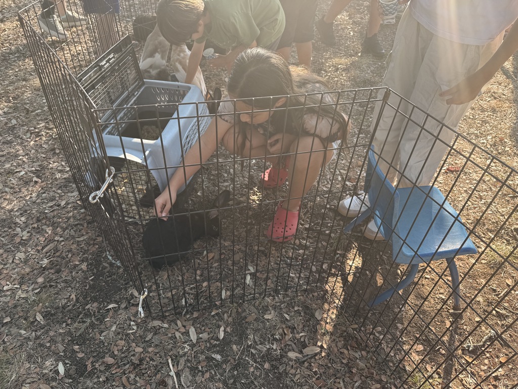 student petting rabbit