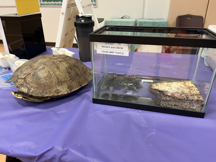 kids at steam night