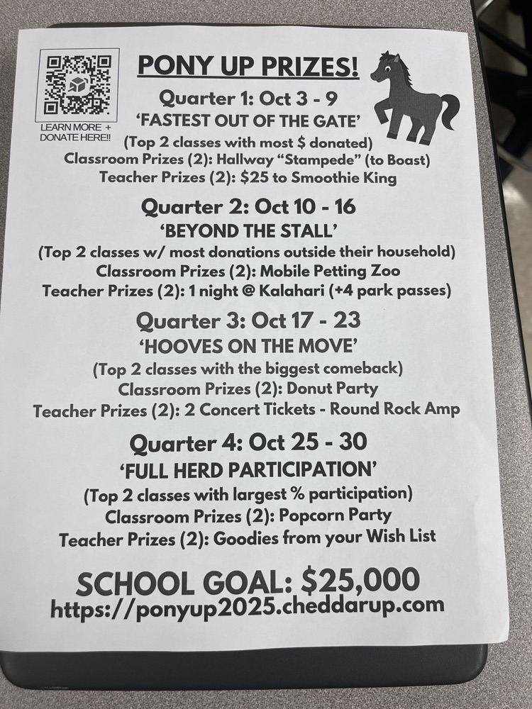 flyer for pony  up prizes