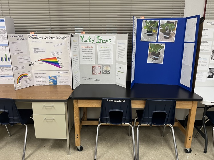 Science Fair projects