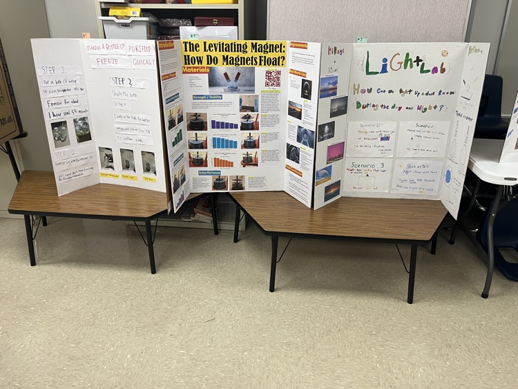 Science Fair projects