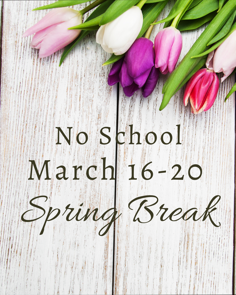 A flat-lay photograph on a white, weathered wooden background. The top of the frame is decorated with a bouquet of pink, purple, and white tulips with green leaves. Dark brown text in the center reads "No School March 16-20" in a serif font, followed by "Spring Break" written in an elegant cursive script.