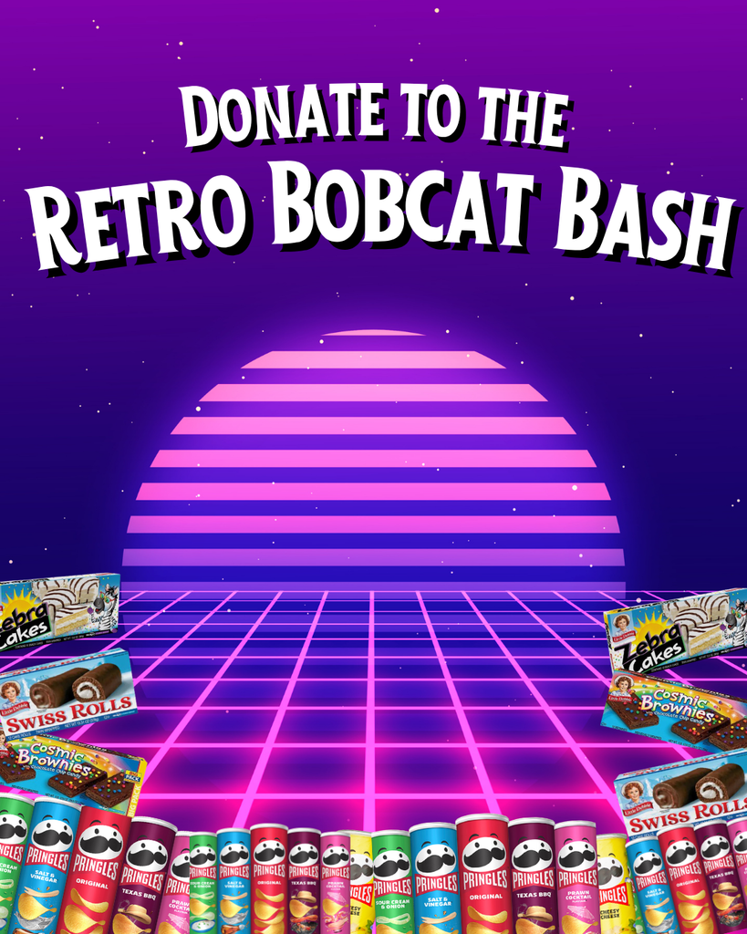A 1980s synthwave-style digital poster with the text "DONATE TO THE RETRO BOBCAT BASH" in a white, stylized font. The background features a purple starry sky, a large pink-to-purple gradient sun with horizontal lines, and a neon purple perspective grid floor.