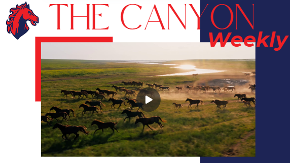 "The Canyon Weekly" with an image of horses running.