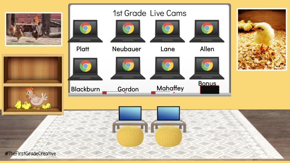1st Grade Live Cams Platt Neubauer Lane Allen Blackburn  Gordon Mahaffey  Bonus