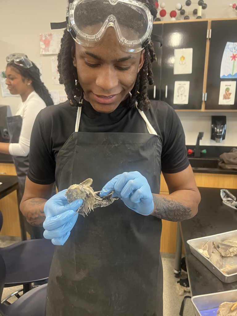MHS Student Holding Bird from Dissected Dogfish Shark