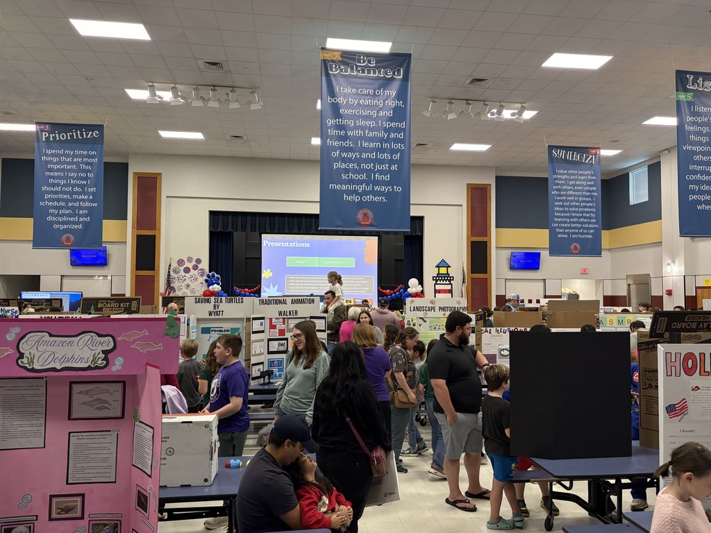 A close-up view of the ALLPS showcase featuring student presentation boards about Amazon River Dolphins and Sea Turtles. A diverse group of families explores the exhibits in the school gym.