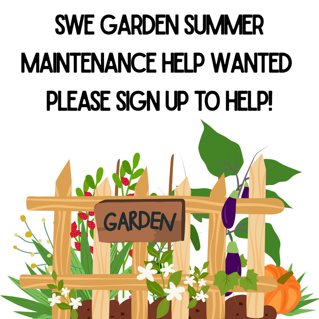 Spicewood Summer Garden Maintenance