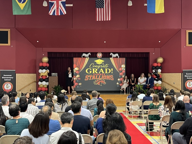 Ms Elarms speaking at ceremony .
