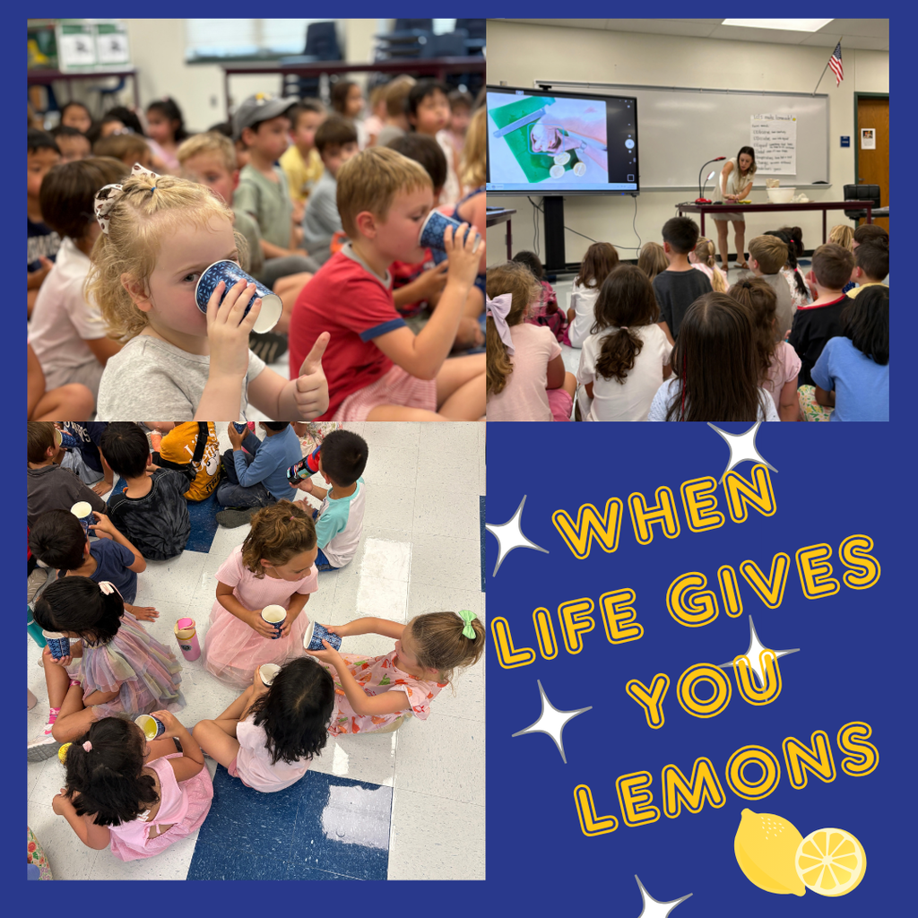 when life gives you lemons