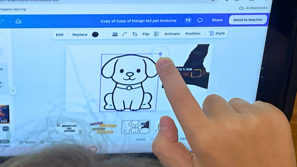 image of student's Canva pet costume