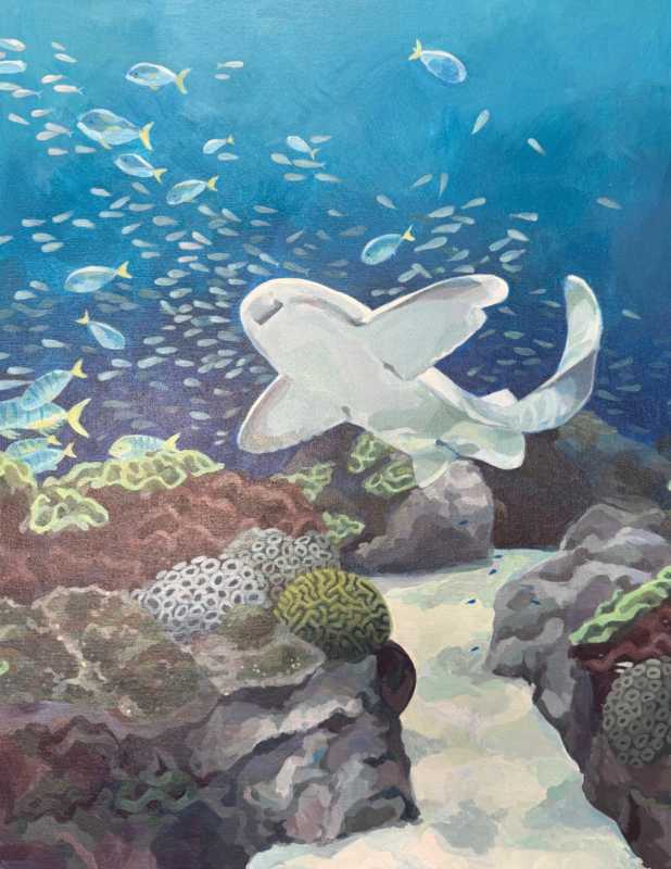 Student artwork of a shark