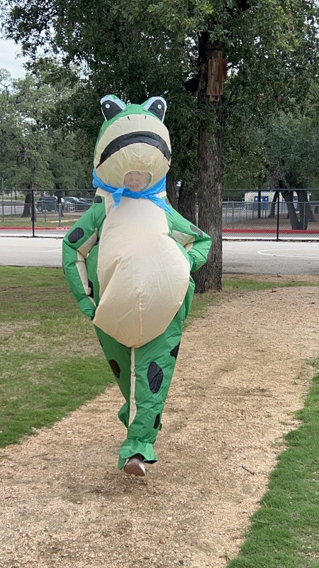 Frog Inflatable