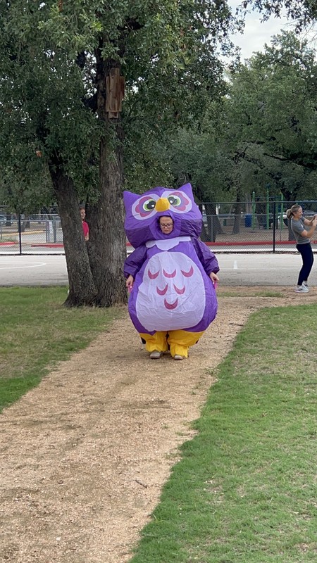 Owl Inflatable