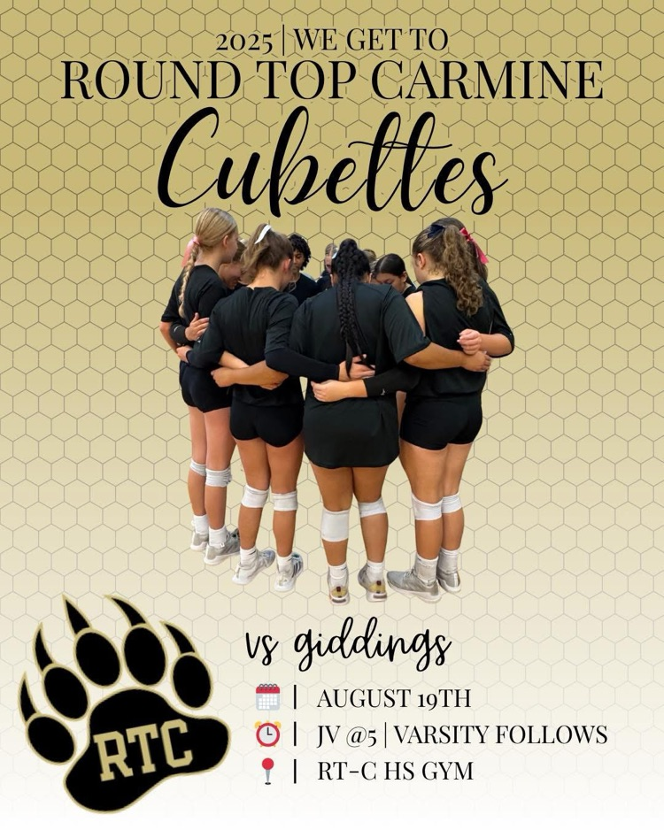 Volleyball Game Day