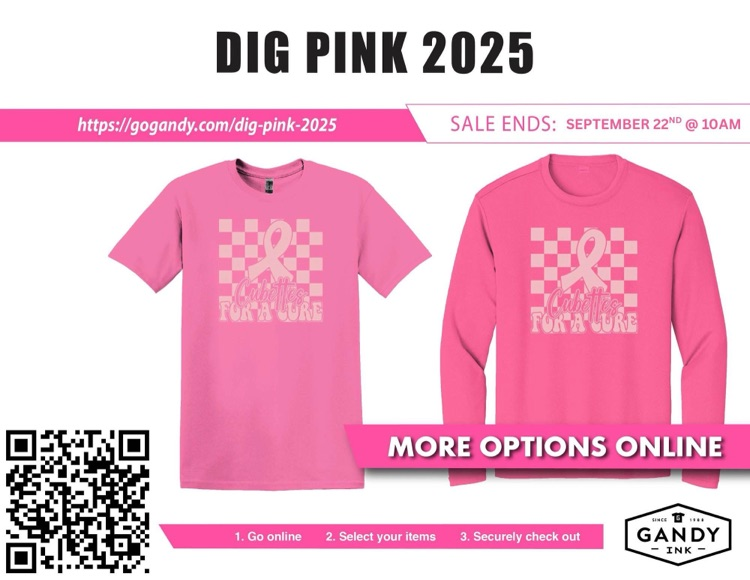 Dig Pink Flyer