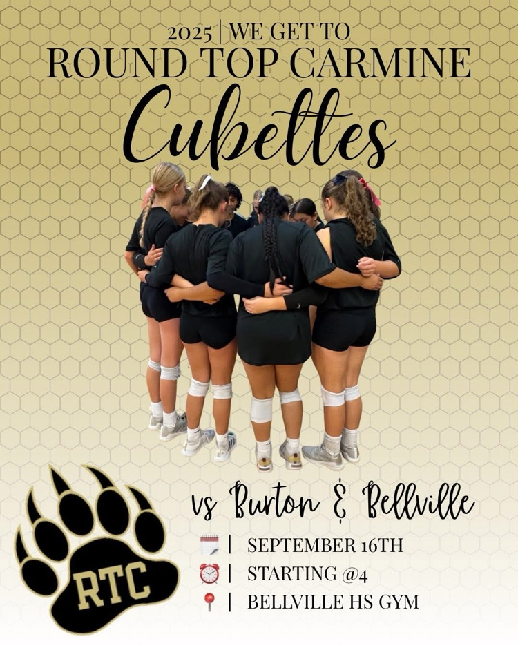 Volleyball Game Day