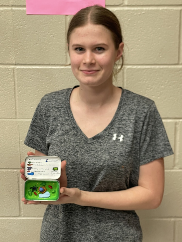Cell Projects in Biology