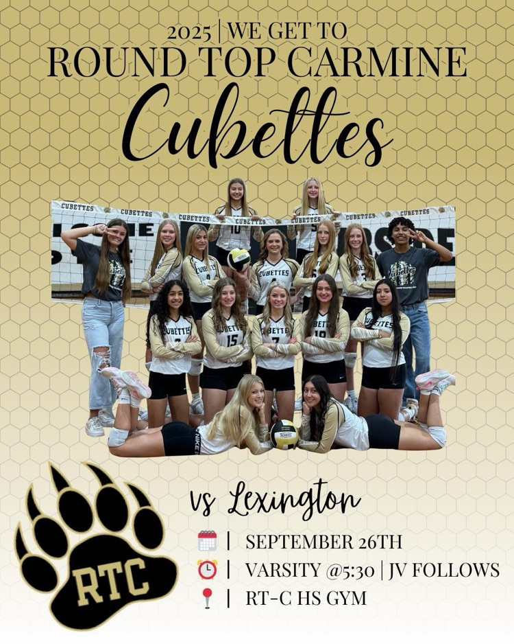 Volleyball Game Day