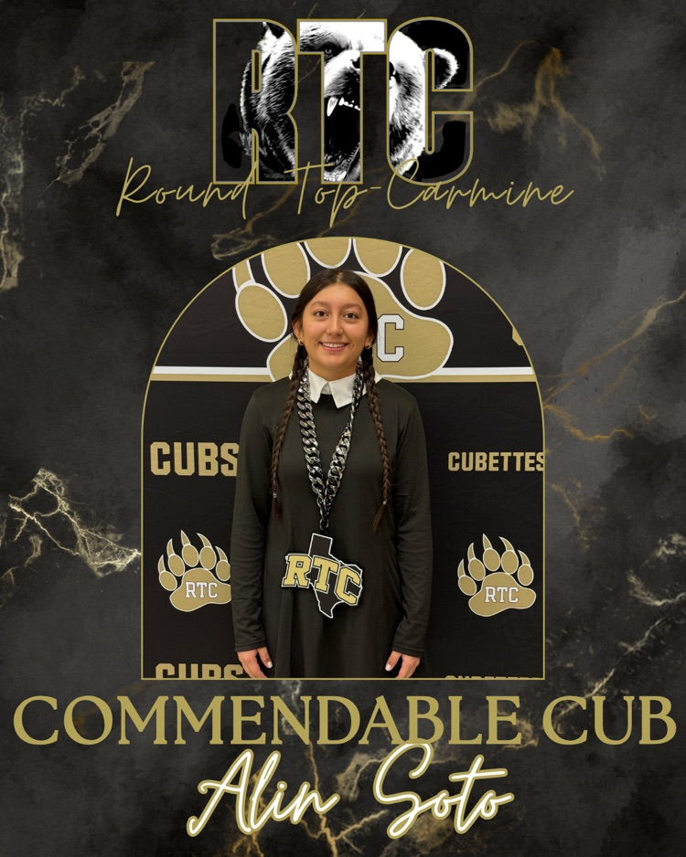 Alin Soto - Commendable Cub