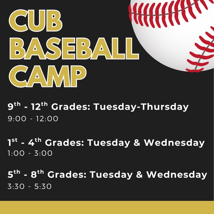 Baseball Camp Flyer