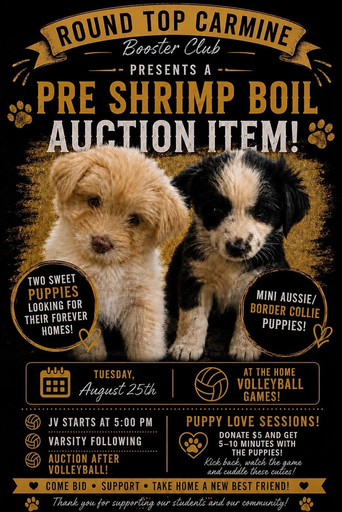 puppy auction at Tuesdays volleyball game