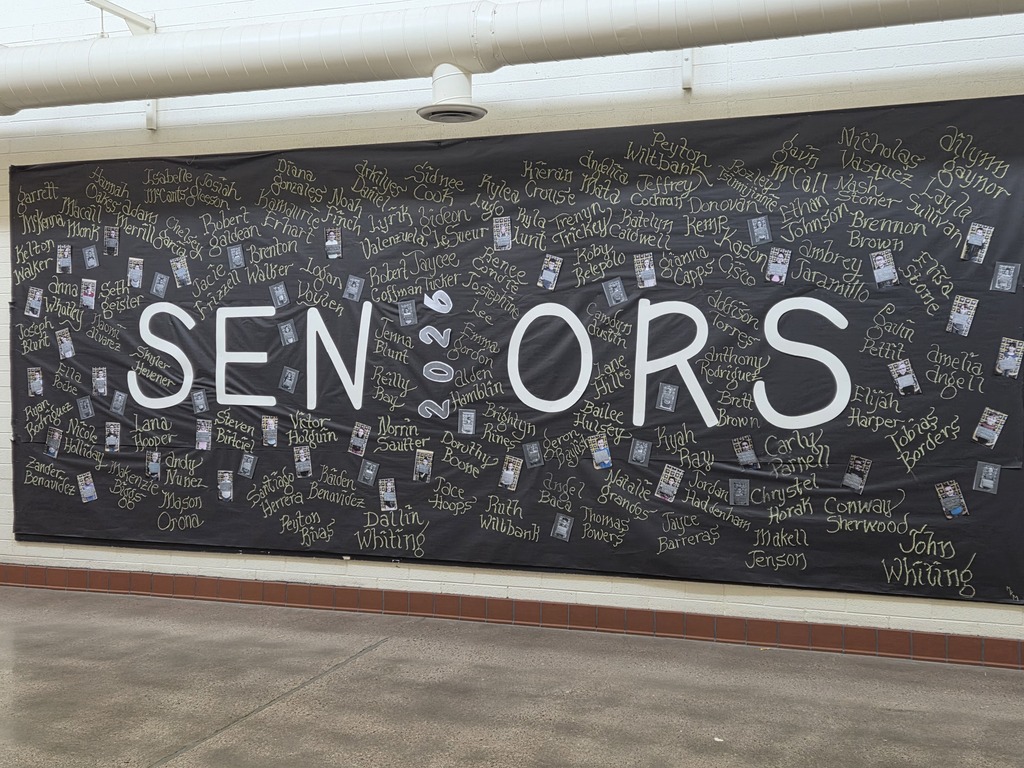 Seniors