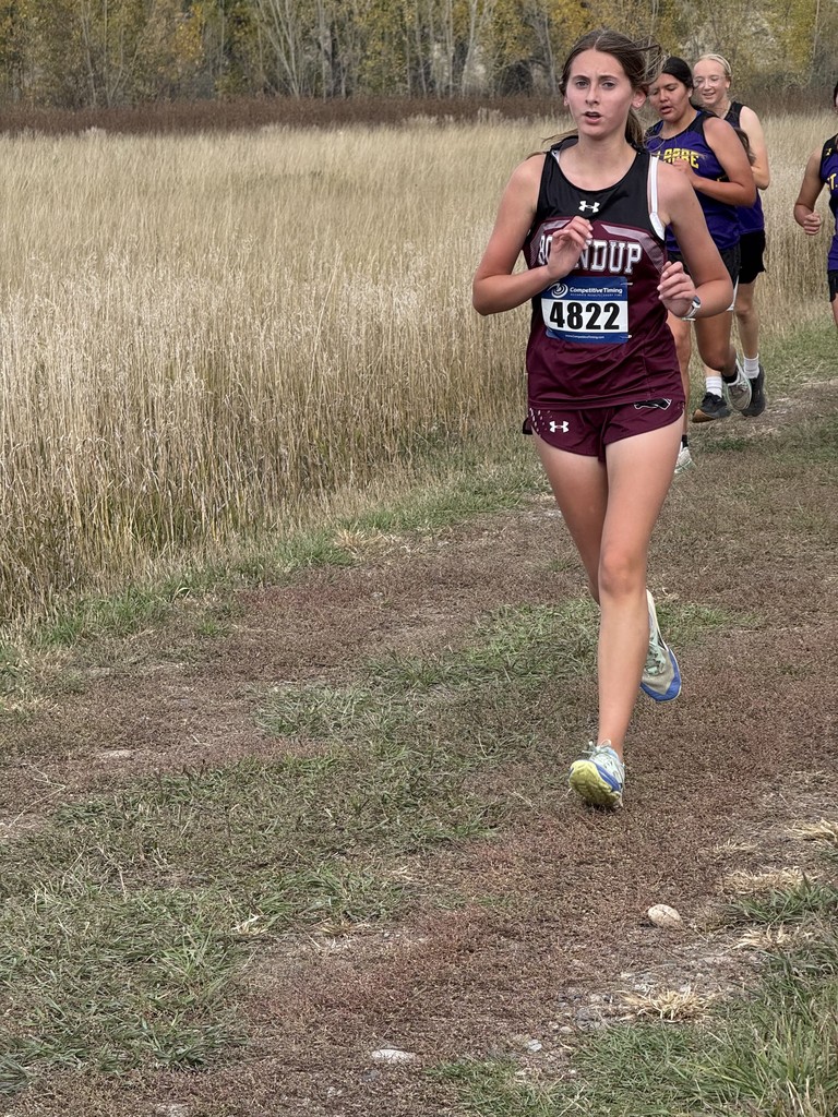 XC