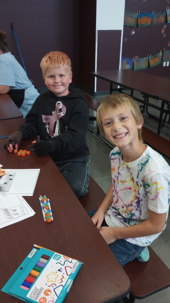 Second Grade Stem Projects