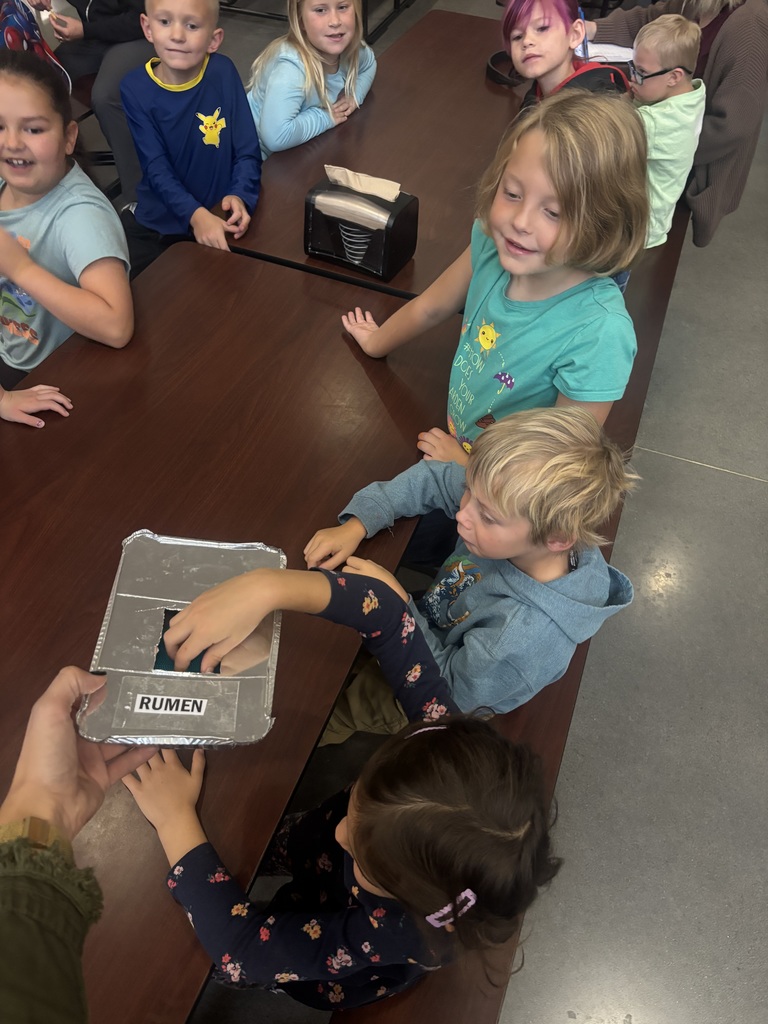 Farm to School