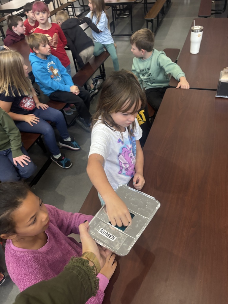 Farm to School
