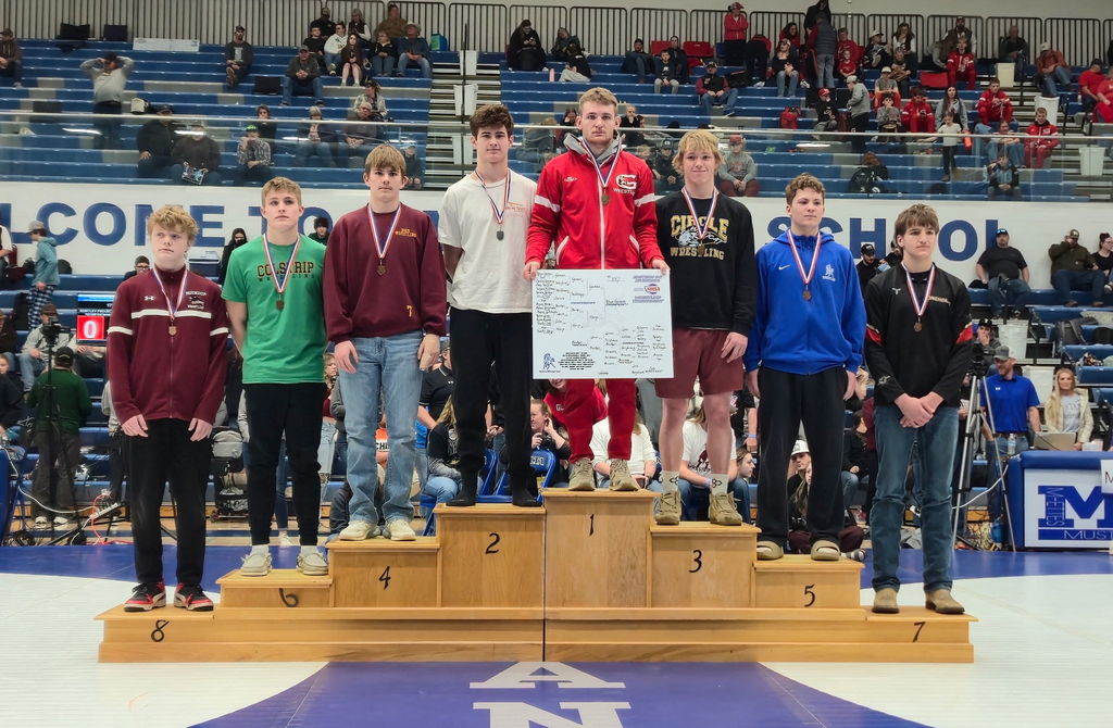 Divisional Wrestling