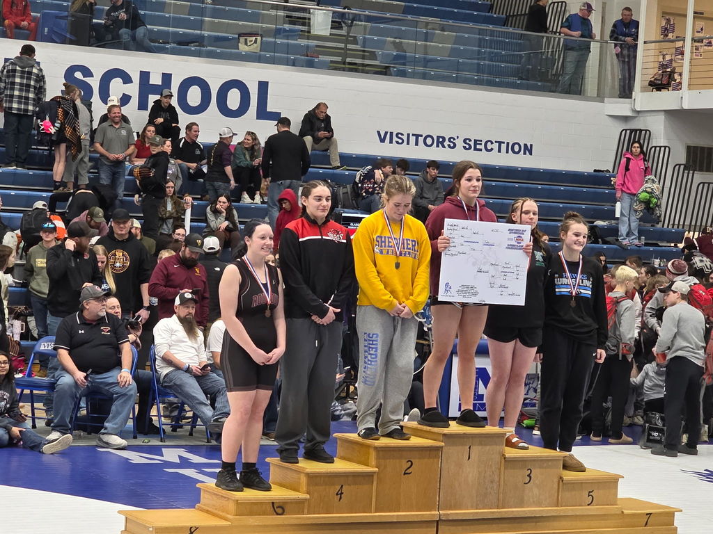 Divisional Wrestling