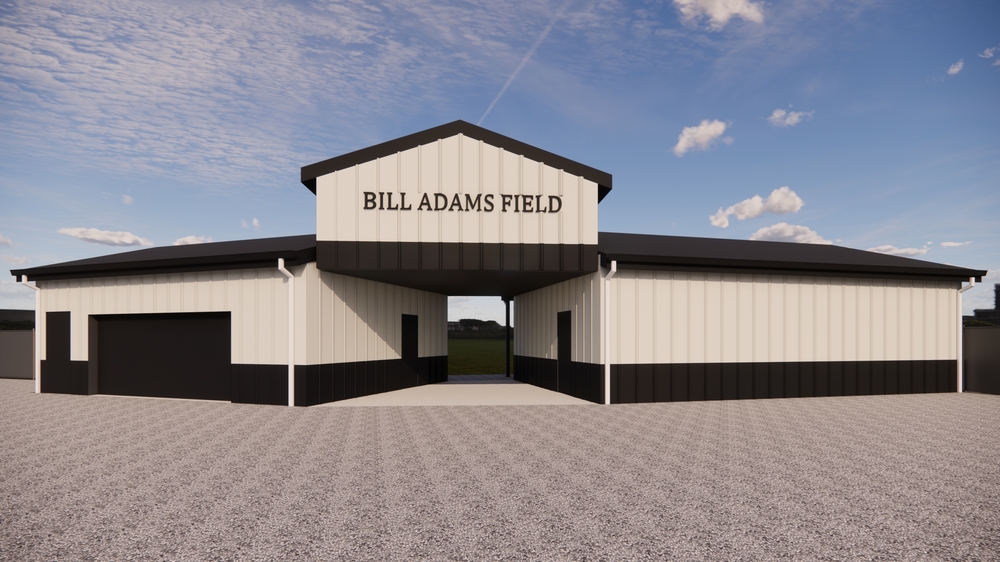 Tiger Paws Episode 4