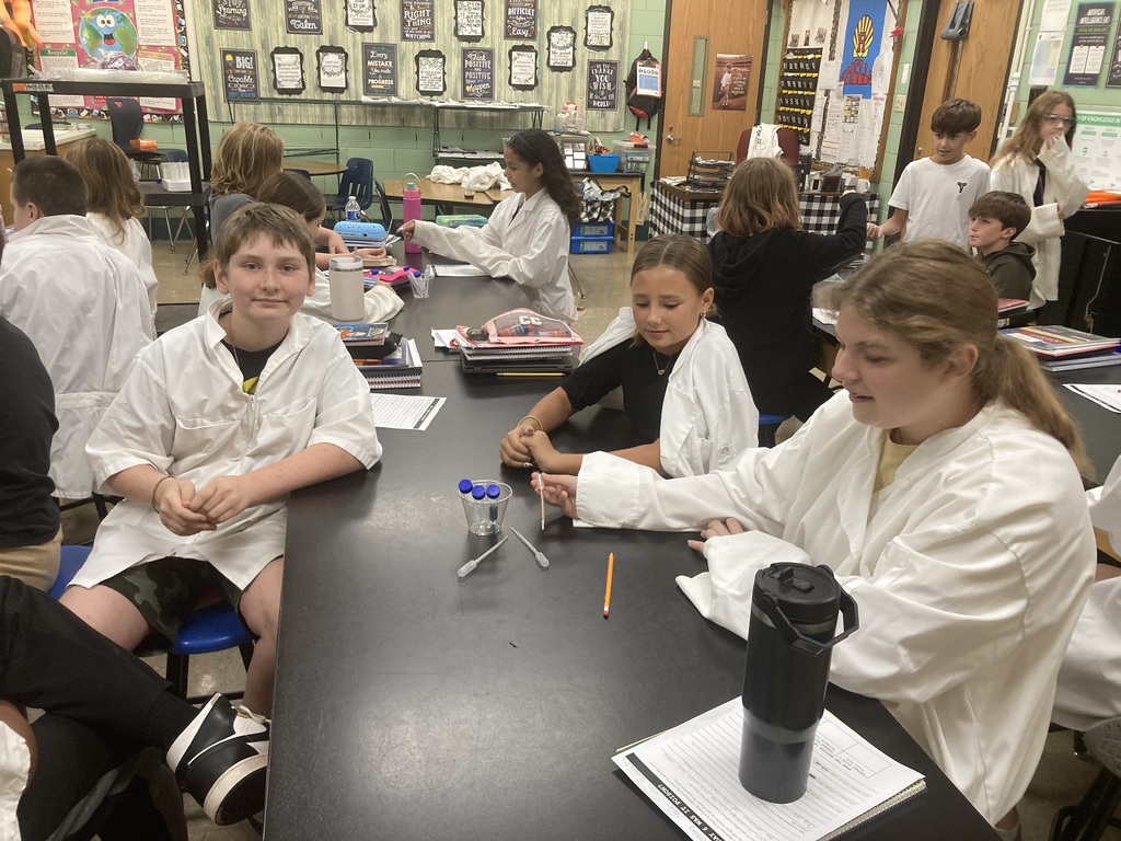 6th grade science