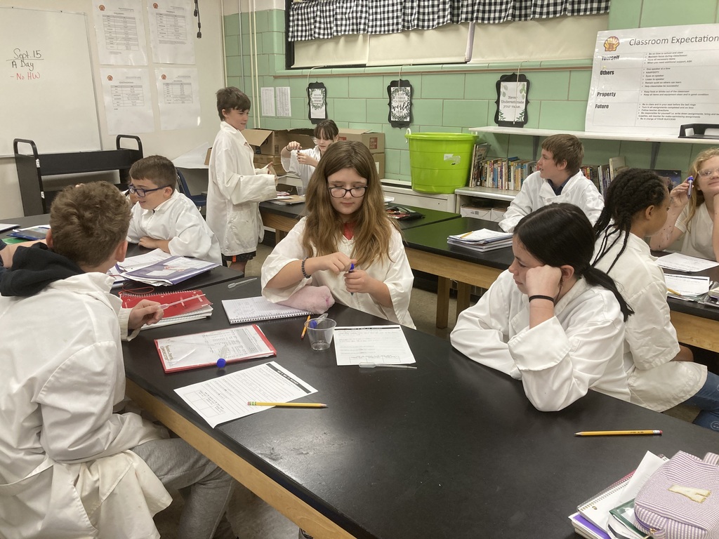 6th grade science