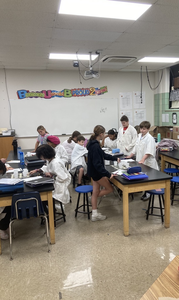 6th grade science