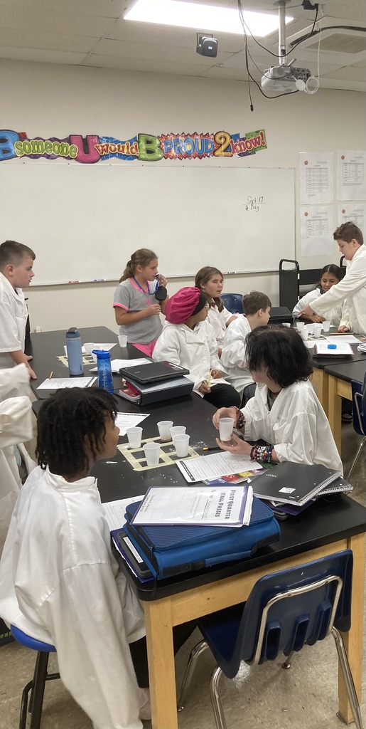 6th grade science