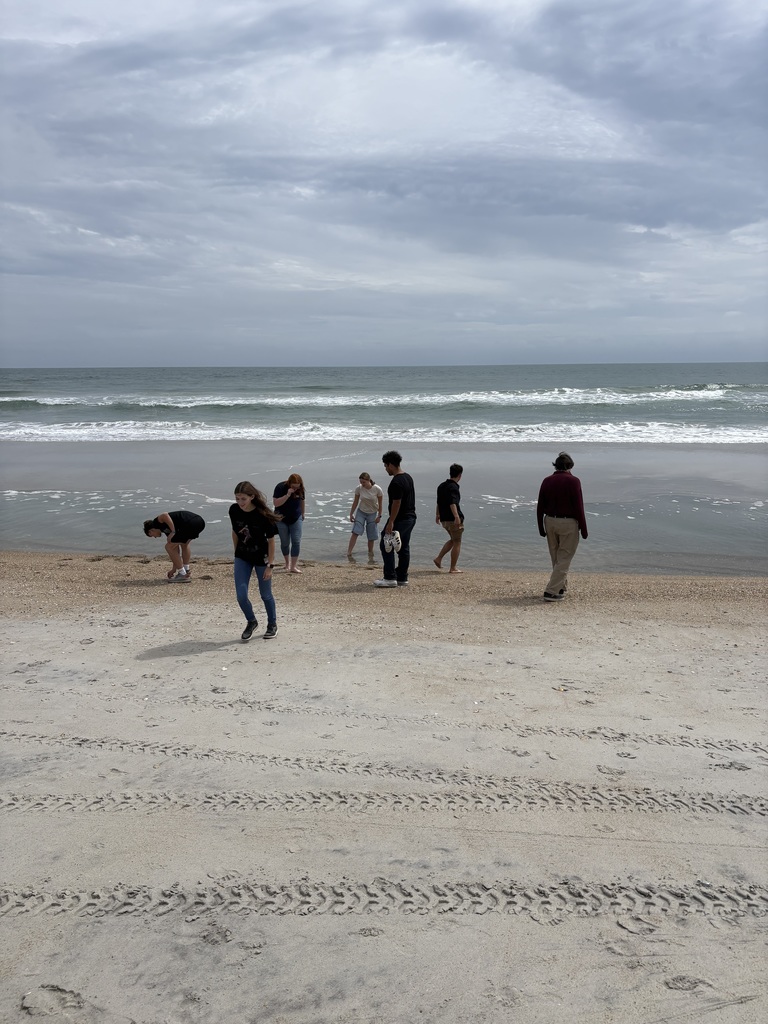 A group of teenagers walking around the beach.