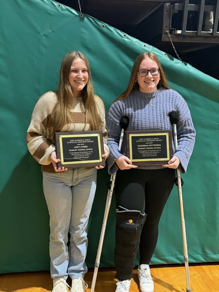 Addy Hynes and Savannah Pettersen stand in front of a green back ground holding their Scholar Athlete Awards.
