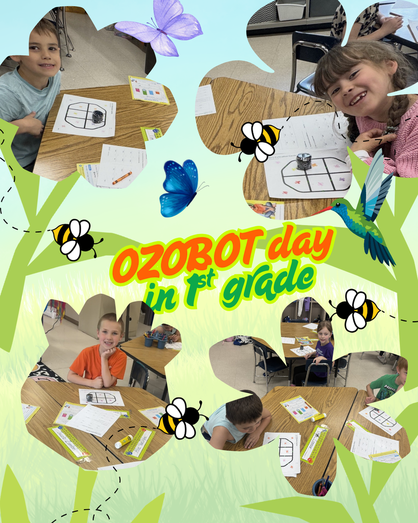 The image is a colorful classroom collage titled “OZBOT day in 1st grade.” The text appears in large, playful letters at the center, with “OZBOT” in orange and yellow and “day in 1st grade” in green. The background is light green and decorated with illustrated grass, flowers, bees, butterflies, and a hummingbird, creating a nature-themed design. Several rounded, cloud-shaped photo cutouts are arranged around the title. Inside the photos are young students seated at classroom desks. The desks are light-colored wood and arranged in rows. On the desks are worksheets with printed shapes and lines, crayons, pencils, and small programmable Ozobot robots placed on the papers. In multiple photos, individual students are shown working with the worksheets while the small robot sits inside a drawn square or path. Other photos show students seated at desks with the same type of materials. Chairs are visible behind the desks, and the classroom floor appears light-colored. Decorative illustrated bees with dashed flight paths and colorful butterflies float between the photo cutouts. All elements together suggest a school activity where students are learning to use small robots during a themed classroom day.