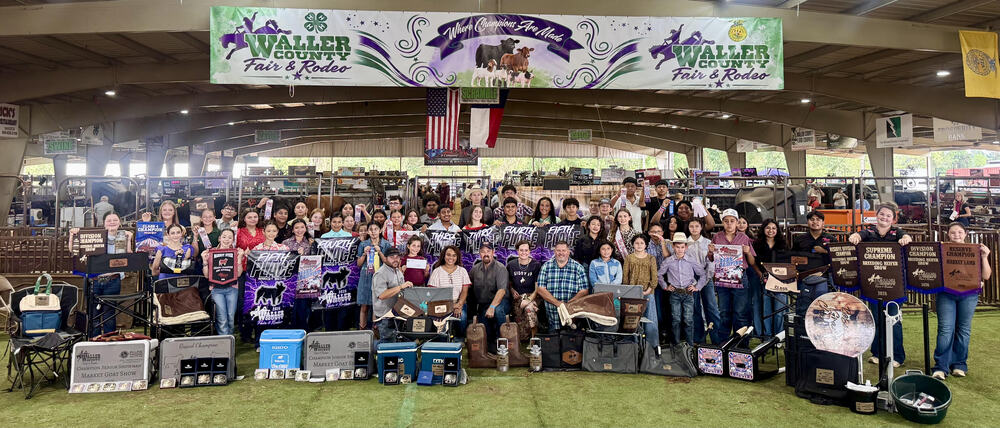 waller county
