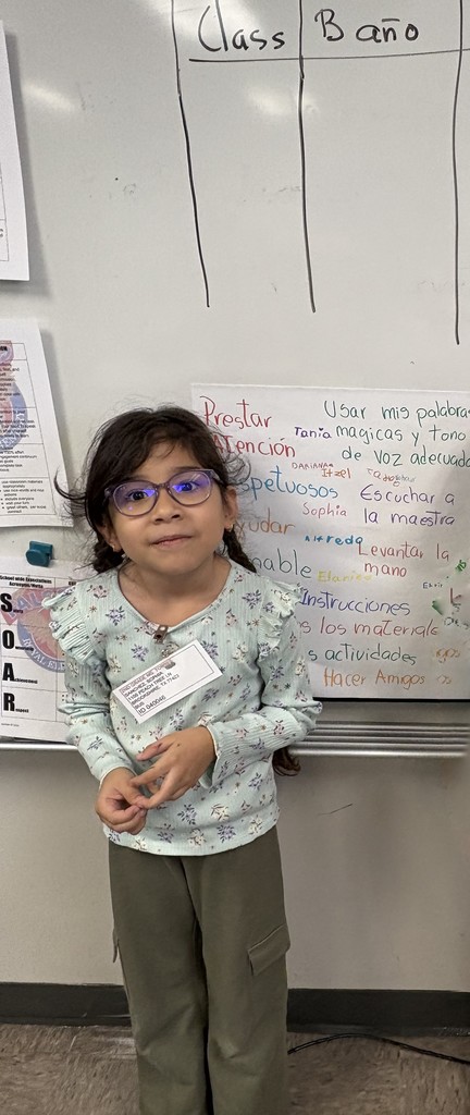 2nd grade ambassador