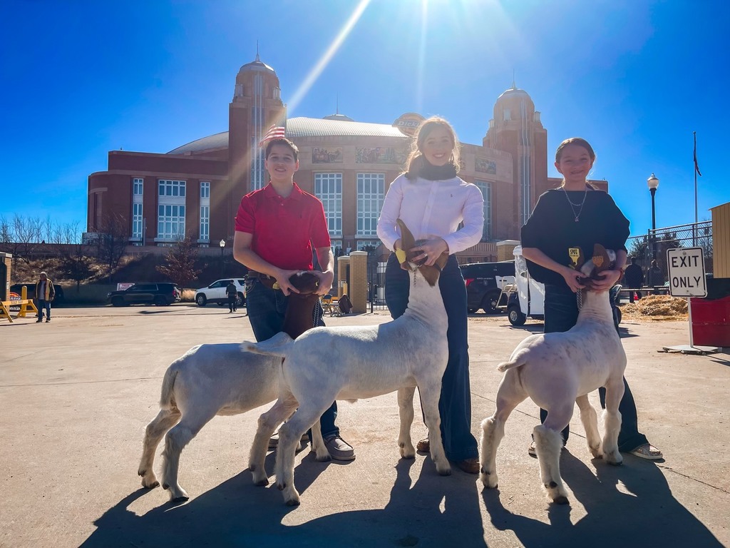 Ft. Worth Stock Show results! Jaylyn Danz - top 45 Senior Showman (RHS); Joni Hensley (STEM) - 15th in class, top 17 Junior Showman. Also pictured: Royal CTE Director Nick Gonzales and STEM student Jeremy Danz. Watch for more results in the coming days! #WeAreRoyal #FalconPride