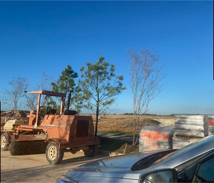 freeman ranch